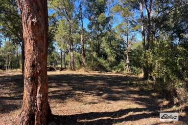 Farm For Sale - QLD - Jones Hill - 4570 - Lot 4 McIntosh Creek Rd, Jones Hill - Your Perfect Elevated Retreat Close to Town  (Image 2)