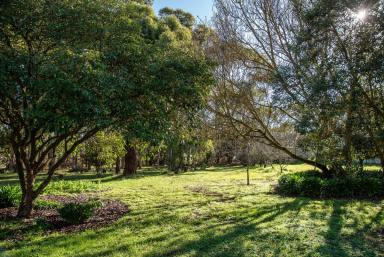 Farm For Sale - VIC - Hamilton - 3300 - Brick house with subdivision potential  (Image 2)