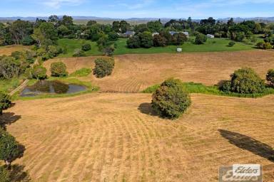 Farm For Sale - QLD - Chatsworth - 4570 - Acreage Designed Home packaged with 3.4 acres and Excellent VIEWS!  (Image 2)