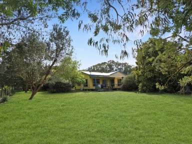 Farm Sold - VIC - Gorae West - 3305 - Spread Your Wings!  (Image 2)