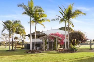 Farm For Sale - QLD - Doonan - 4562 - Original Queenslander on 68 usable acres in Doonan!  (Image 2)