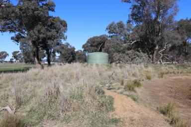 Farm For Sale - NSW - Cootamundra - 2590 - Rare Rural Block On Edge Of Town With Building Entitlement  (Image 2)