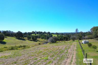 Farm For Sale - QLD - Chatsworth - 4570 - Elevated 4 acs with views - CHATSWORTH!  (Image 2)