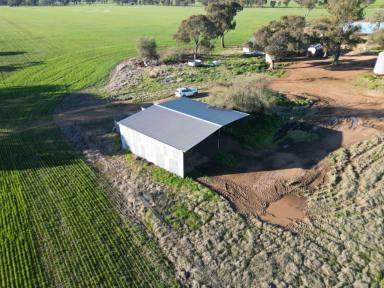 Farm For Sale - NSW - Young - 2594 - Cropping Property For Sale In Tightly Held District  (Image 2)