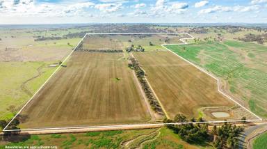 Farm For Sale - NSW - Walbundrie - 2642 - Walbundrie - 117Ha - 289 acres  (Image 2)