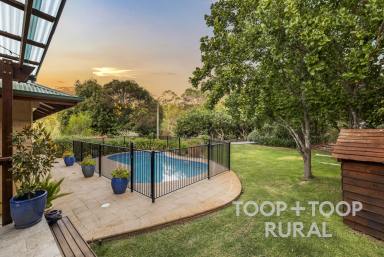 Farm For Sale - SA - Tanunda - 5352 - Secluded luxury in a natural paradise.  (Image 2)