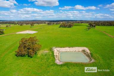 Farm For Sale - WA - Mount Barker - 6324 - Seize the Day!  (Image 2)