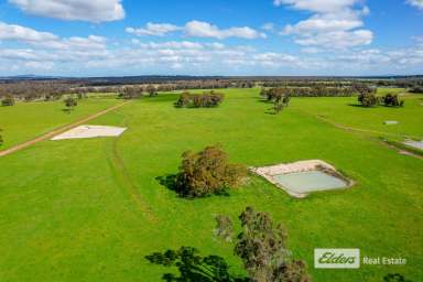 Farm For Sale - WA - Mount Barker - 6324 - Seize the Day!  (Image 2)