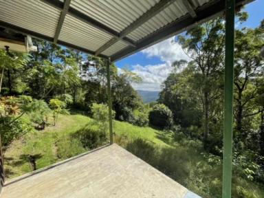 Farm For Sale - QLD - Reesville - 4552 - Unique Opportunity in the Maleny Hinterland  (Image 2)