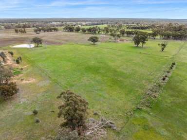 Farm Sold - VIC - Longlea - 3551 - Exclusive Strathfieldsaye Rural Living land release  (Image 2)