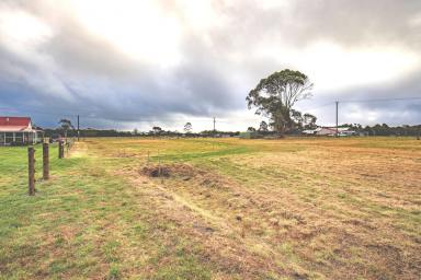 Farm For Sale - TAS - Smithton - 7330 - Charming Cottage in Smithton - 16 Leesville Road  (Image 2)