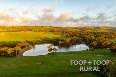 Farm Sold - SA - Tooperang - 5255 - Deep Creek Farm  (Image 2)