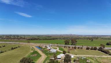 Farm For Sale - VIC - Horfield - 3567 - Stunning 194-Acre Dairy Farm with Modern Amenities and Spacious Home  (Image 2)