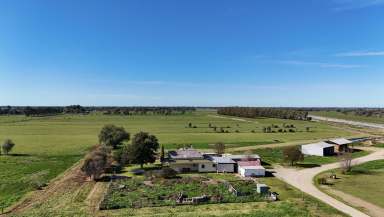 Farm For Sale - VIC - Horfield - 3567 - Stunning 194-Acre Dairy Farm with Modern Amenities and Spacious Home  (Image 2)