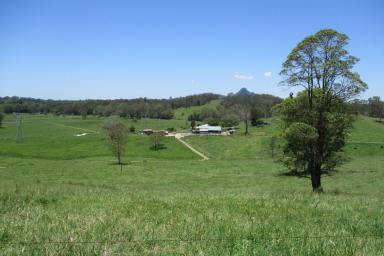 Farm For Sale - QLD - Peachester - 4519 - Sunshine Coast Hinterland Farm!  (Image 2)