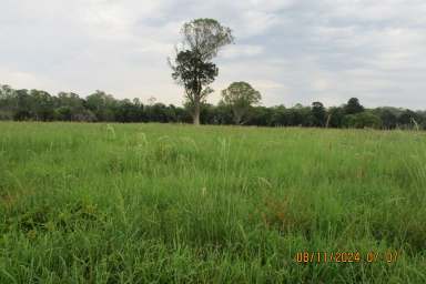 Farm Auction - QLD - Peachester - 4519 - Sunshine Coast Hinterland Lifestyle Property  (Image 2)