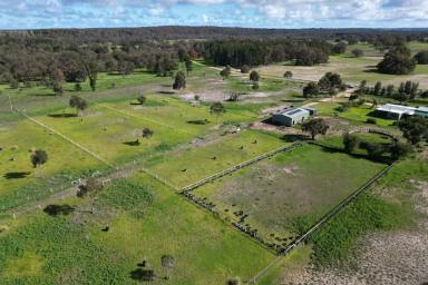 Farm For Sale - WA - Cowalla - 6503 - HOLD YOUR HORSES!!  (Image 2)