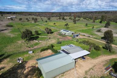 Farm For Sale - WA - Cowalla - 6503 - HOLD YOUR HORSES!!  (Image 2)