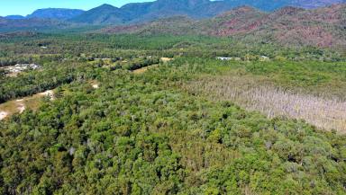 Farm For Sale - QLD - Cardwell - 4849 - Large Rural Blocks - $200k each  (Image 2)