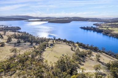 Farm For Sale - TAS - North Bruny - 7150 - A Slice of Paradise on Bruny Island!  (Image 2)