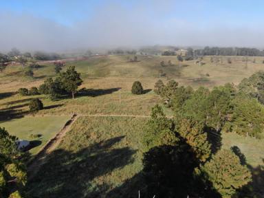 Farm For Sale - NSW - Kyogle - 2474 - Land for Lifestyle  (Image 2)