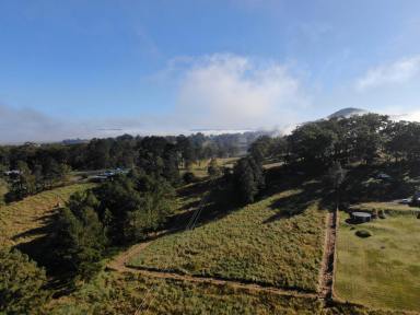 Farm For Sale - NSW - Kyogle - 2474 - Land for Lifestyle  (Image 2)