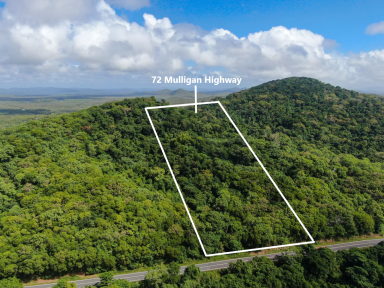 Farm For Sale - QLD - Cooktown - 4895 - Terraced Terrain With Multiple Build Sites  (Image 2)