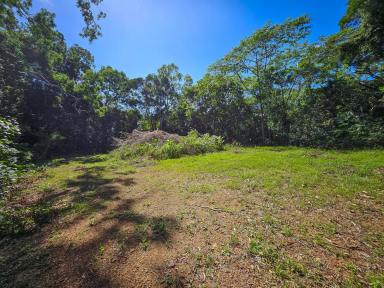 Farm For Sale - QLD - Cooktown - 4895 - Terraced Terrain With Multiple Build Sites  (Image 2)