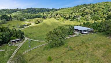 Farm Sold - QLD - Julatten - 4871 - 680m2 SHED, 2 ELEVATED HOUSES + DA FOR 10 COTTAGES  (Image 2)