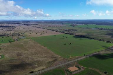 Farm For Sale - NSW - Fifield - 2875 - Mixed Farming Opportunity  (Image 2)