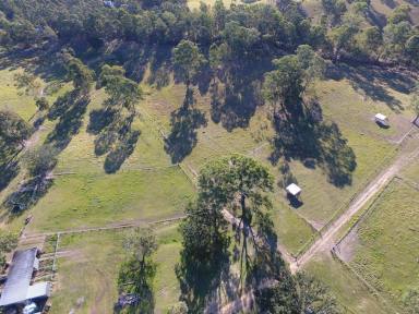 Farm For Sale - NSW - Leeville - 2470 - LYNBURN - 195 ACRES  (Image 2)