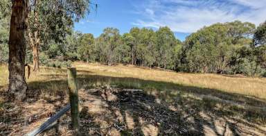 Farm For Sale - VIC - Strathbogie - 3666 - "Hansel & Gretel's" 3 Br Cottage on Spring Creek  (Image 2)