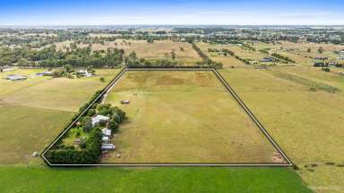 Farm For Sale - VIC - Maffra - 3860 - Stunning 20-acre lifestyle property offers the best of both worlds  (Image 2)