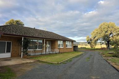 Farm For Sale - NSW - Parkes - 2870 - Picturesque Views!  (Image 2)