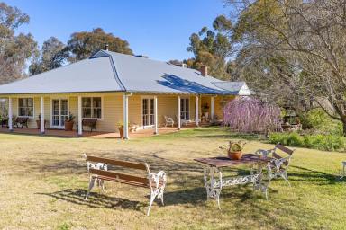 Farm For Sale - NSW - Greenethorpe - 2809 - Award Winning Mixed Farming Opportunity  (Image 2)