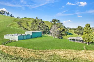 Farm For Sale - VIC - Yallourn North - 3825 - Farming Opportunity 140km from Melbourne ( 110 Acres )  (Image 2)