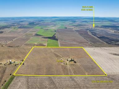 Farm Sold - QLD - Back Plains - 4361 - Felton Park - Fertile Land, Endless Potential, Your Perfect Rural Escape  (Image 2)