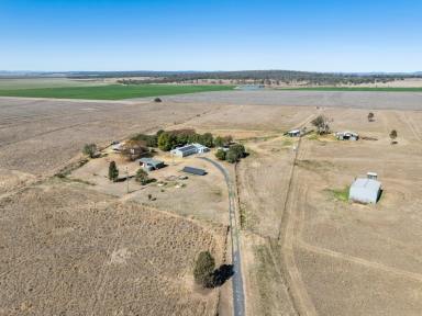 Farm Sold - QLD - Back Plains - 4361 - Felton Park - Fertile Land, Endless Potential, Your Perfect Rural Escape  (Image 2)