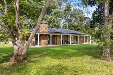 Farm Sold - QLD - Tandur - 4570 - Usable 29.57 acres with renovated home plus studio  (Image 2)