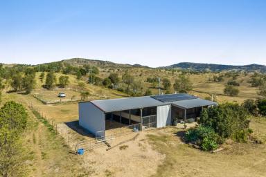 Farm For Sale - QLD - Iredale - 4344 - "Sunlands" – Idyllic 80-Acre Rural Lifestyle Holding with Stunning Views and Modern Comforts.  (Image 2)