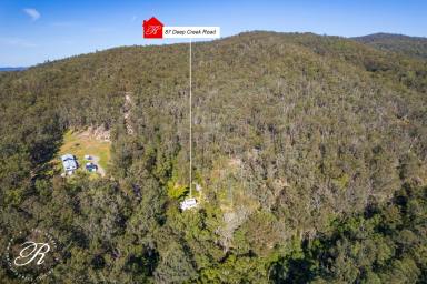 Farm For Sale - NSW - Markwell - 2423 - A unique offering on 127 acres of pristine natural bushland  (Image 2)