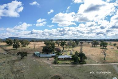 Farm For Sale - NSW - Tenterden - 2365 - RAMAH  (Image 2)