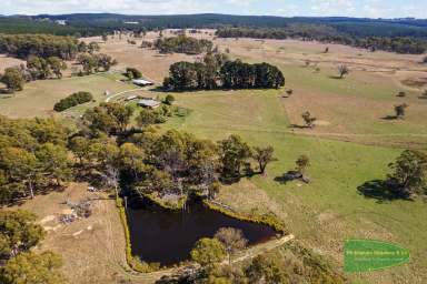 Farm For Sale - NSW - Mozart - 2787 - Central Tablelands High Rainfall Country On Scale  (Image 2)