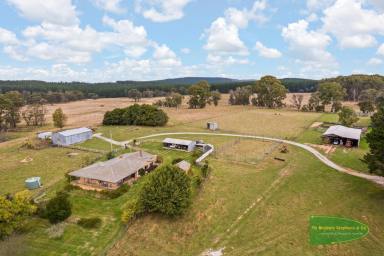 Farm For Sale - NSW - Mozart - 2787 - Central Tablelands High Rainfall Country On Scale  (Image 2)