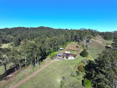 Farm For Sale - NSW - Kyogle - 2474 - "BENTLEY GEM"  (Image 2)