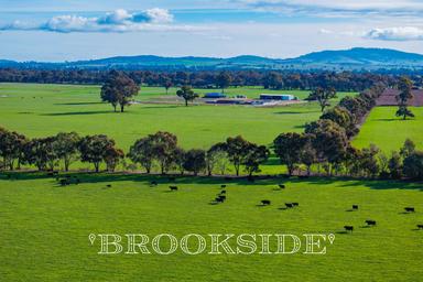 4646 Holbrook Road, Mangoplah NSW 2652