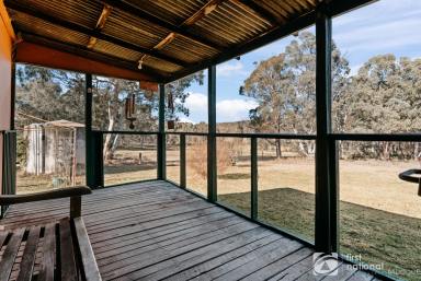 Farm For Sale - NSW - Mudgee - 2850 - 'DAISY COTTAGE'  (Image 2)