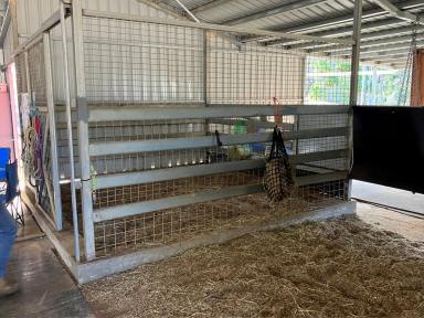 Farm For Sale - QLD - Eungella - 4757 - Rural Lifestyle, Stables & Arena  (Image 2)