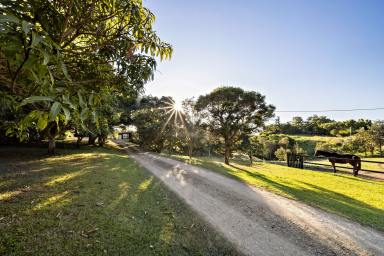 Farm For Sale - QLD - Cooran - 4569 - Private Dual Living Paradise with Majestic Mountain Views  (Image 2)