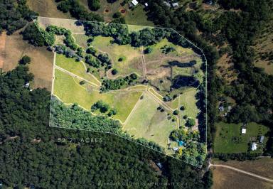 Farm For Sale - QLD - Cootharaba - 4565 - C.1910 Homestead on over 52 Acres  (Image 2)